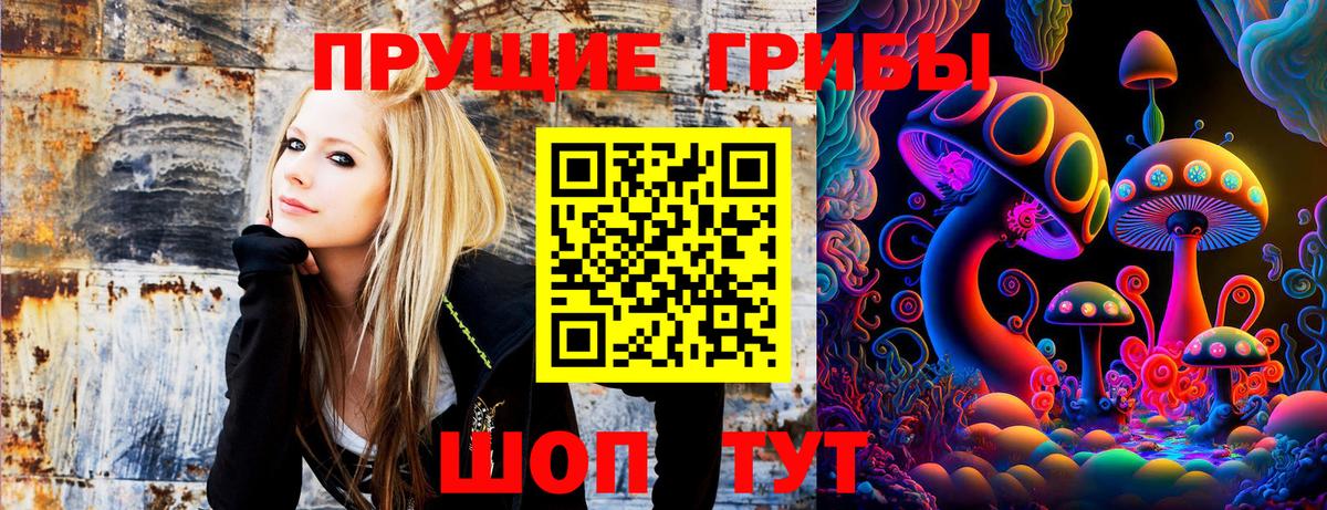 Псилоцибиновые грибы Psilocybe  Псилоцибиновые грибы MAGIC MUSHROOMS  Алексеевка  Вход с VPN 